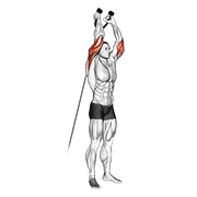 Cable Overhead Tricep Extension