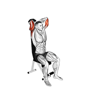 Overhead Tricep Extension