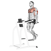 Tricep Dips