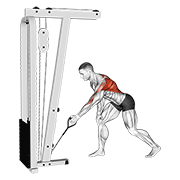 Single Arm Cable Row