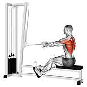Seated Cable Row