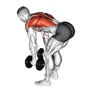 Dumbbell Row