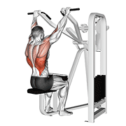 Lat Pulldown