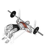 Decline Bench Press (Barbell)
