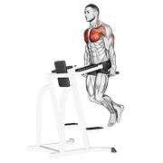 Chest Dips