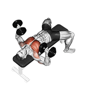 Bench Press (Dumbbell)