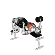 Decline Bench Press (Dumbbell)