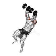 Incline Bench Press (Dumbbell)