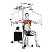 Chest Fly Machine