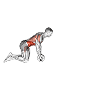 Ab Wheel Rollout