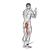Glute Kickback