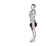 Lunges