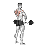 Upright Row (Barbell)