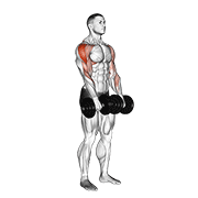 Upright Row (Dumbbell)
