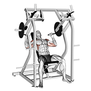 Machine Shoulder Press